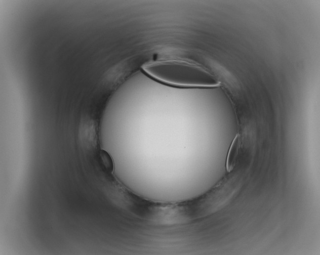X0000111610121200907171232