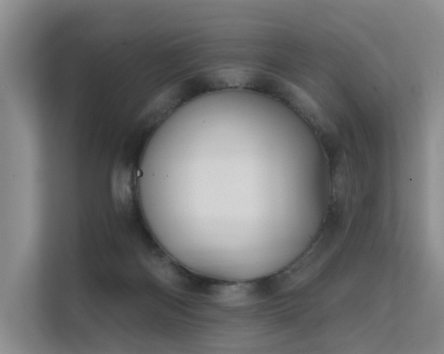 X0000111610122200907171231