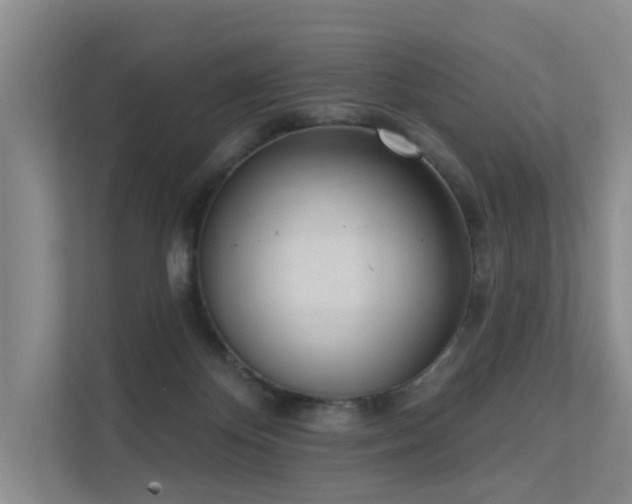 X0000111610124200907171231
