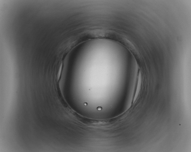 X0000111610125200907171231