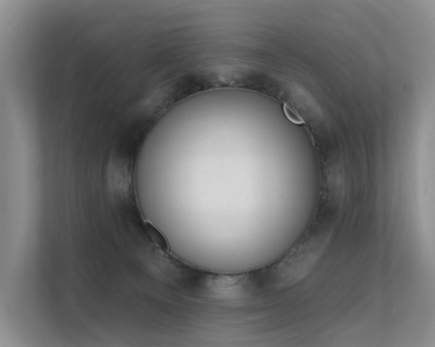 X0000111610129200907171231