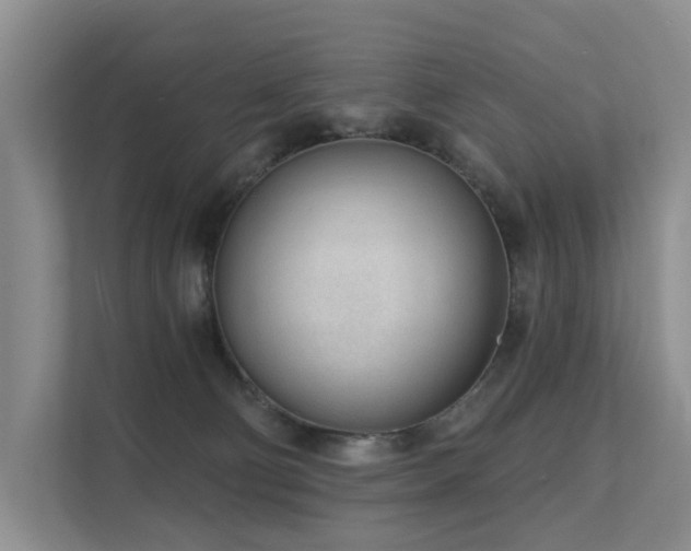 X0000111610130200907171231
