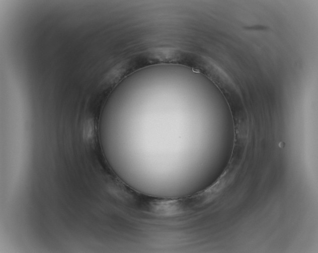 X0000111610132200907171231
