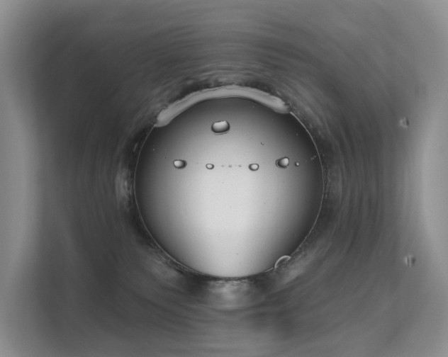 X0000111610135200907171231