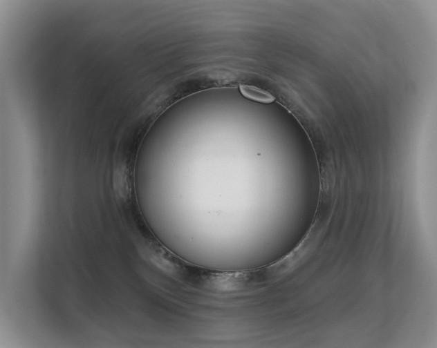 X0000111610136200907171231