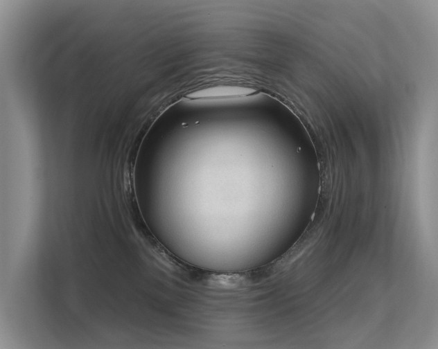 X0000111610137200907171231