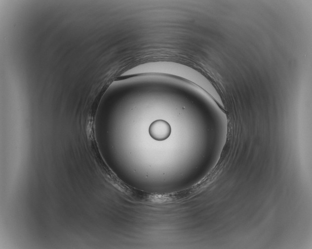 X0000111610141200907171231