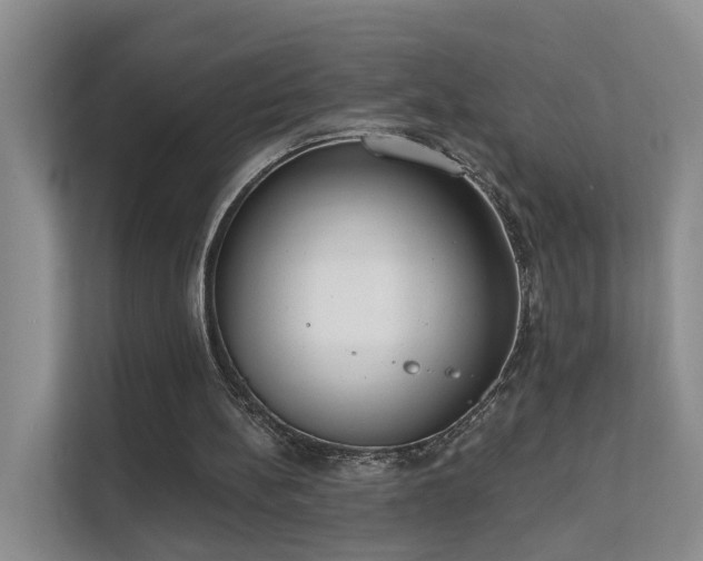 X0000111610148200907171231