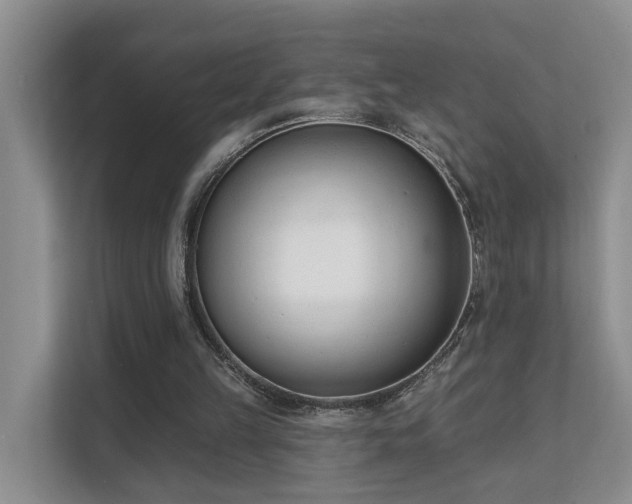 X0000111610149200907171231