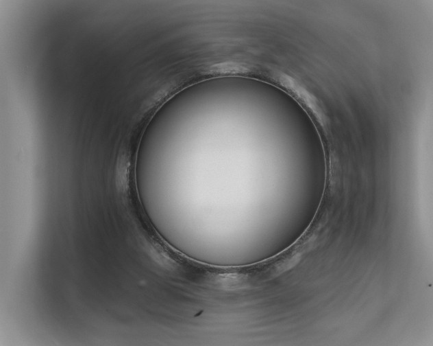 X0000111610153200907171231
