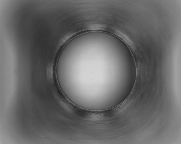 X0000111610155200907171231
