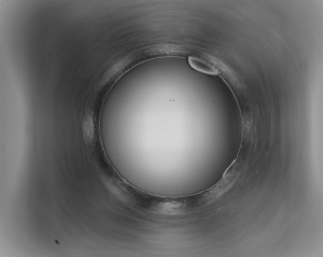 X0000111610158200907171231