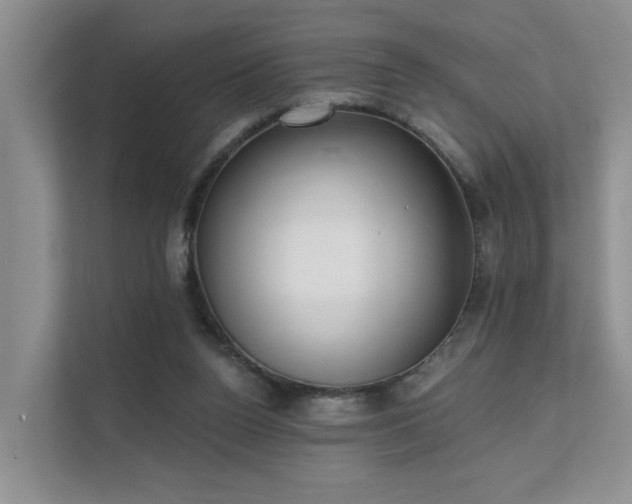 X0000111610160200907171231