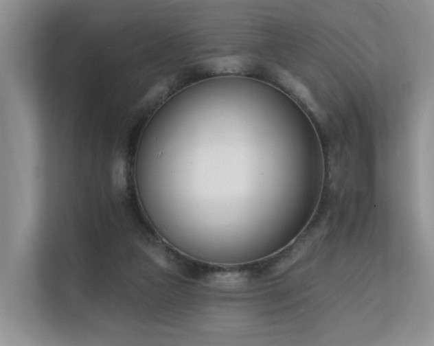 X0000111610161200907171231
