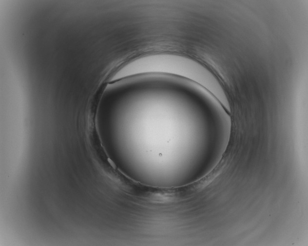 X0000111610164200907171231