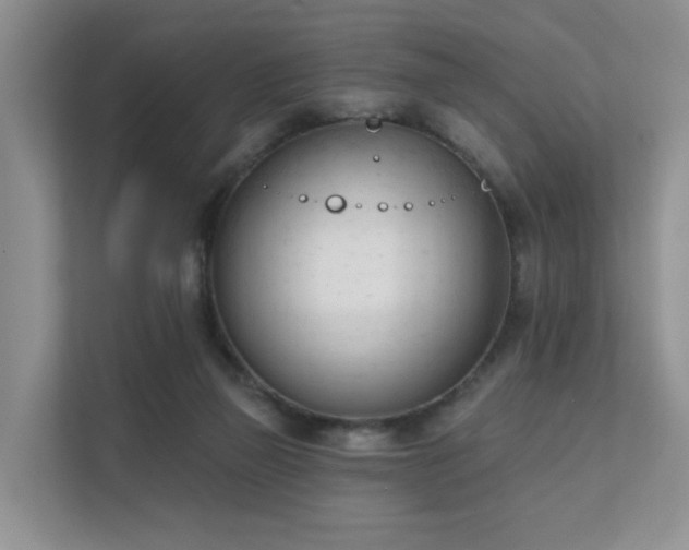 X0000111610165200907171231