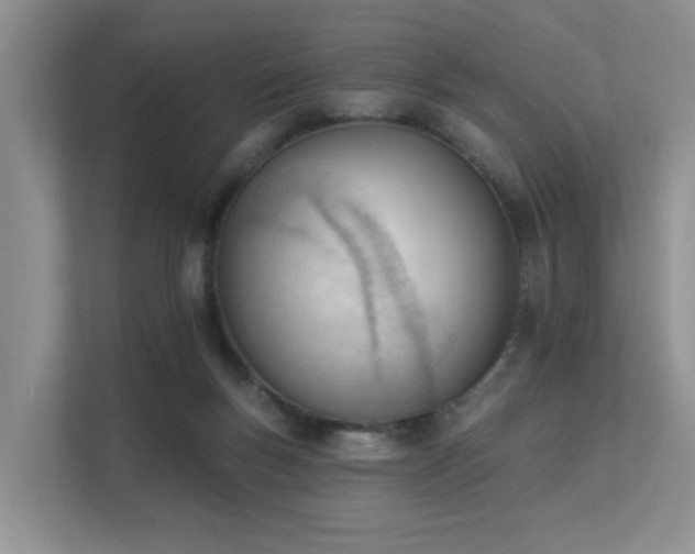 X0000111610167200907171231