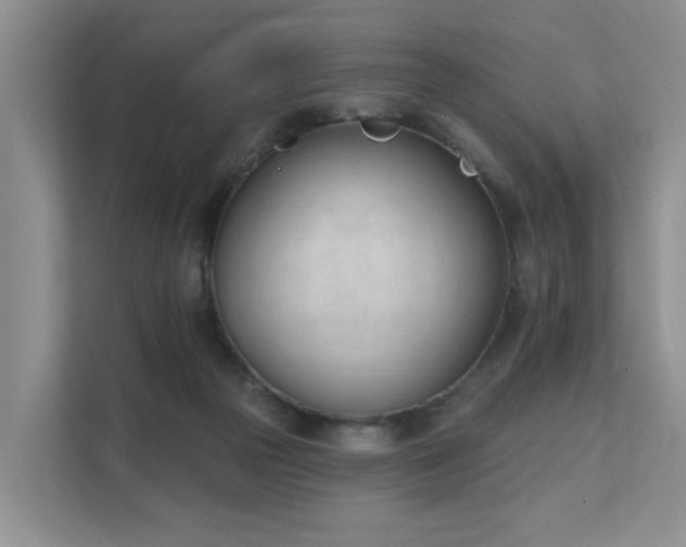 X0000111610169200907171231