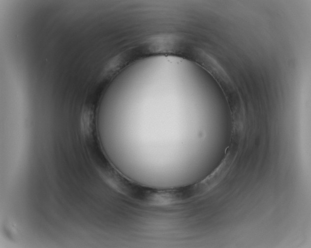 X0000111610171200907171231