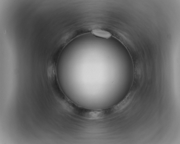 X0000111610172200907171231
