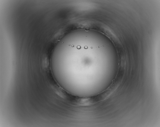 X0000111610173200907171231
