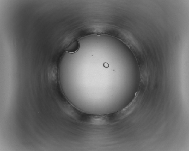 X0000111610175200907171231