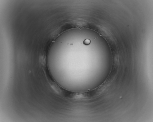 X0000111610177200907171231