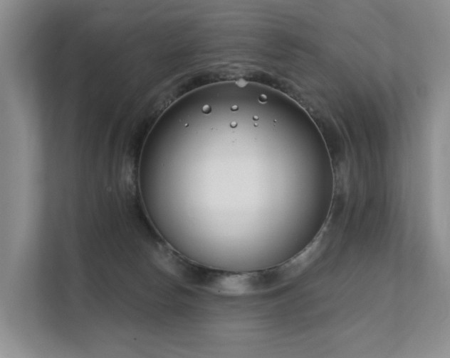 X0000111610178200907171231