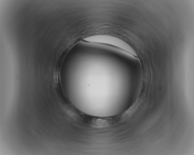 X0000111610180200907171231