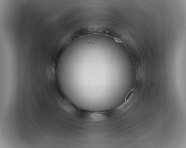 X0000111610183200907171231