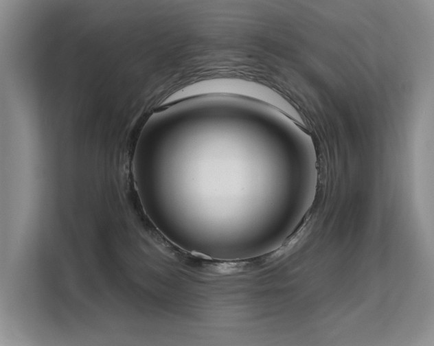 X0000111610184200907171231