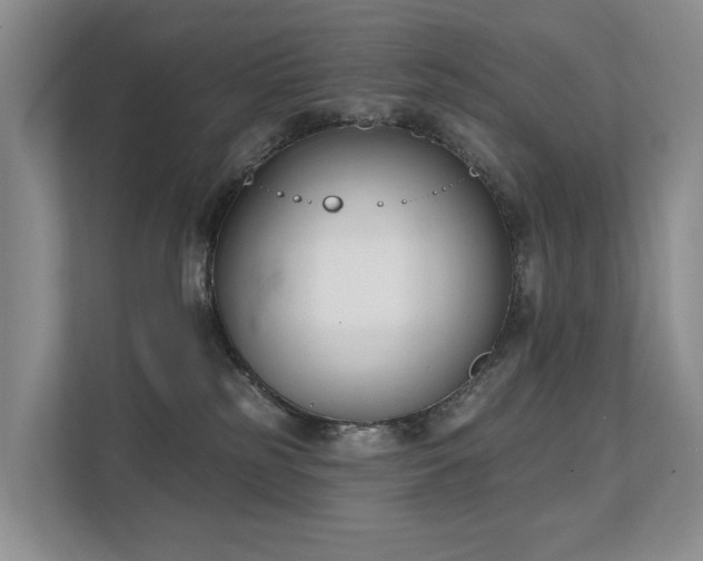 X0000111610185200907171231