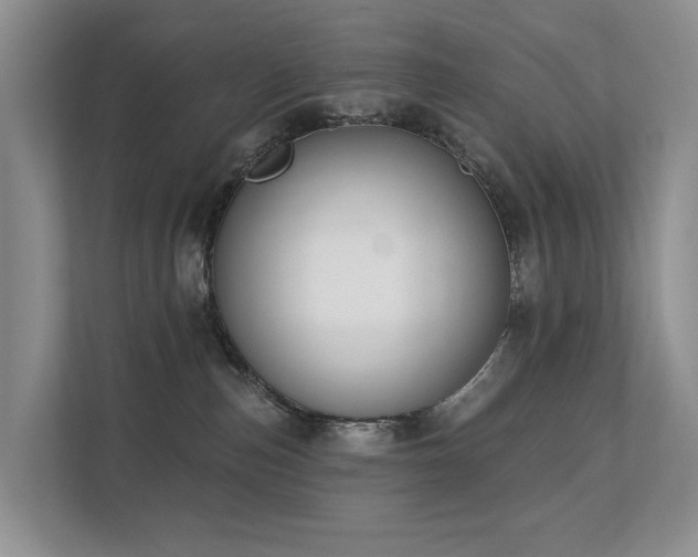 X0000111610187200907171231