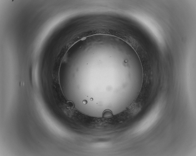 X0000111610189200907171231