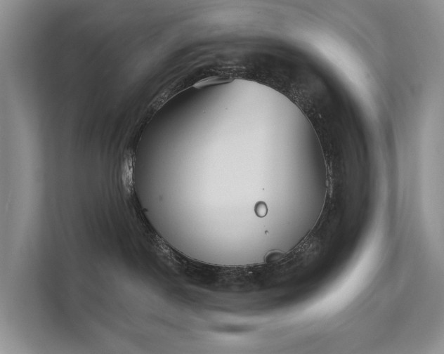 X0000111610190200907171231