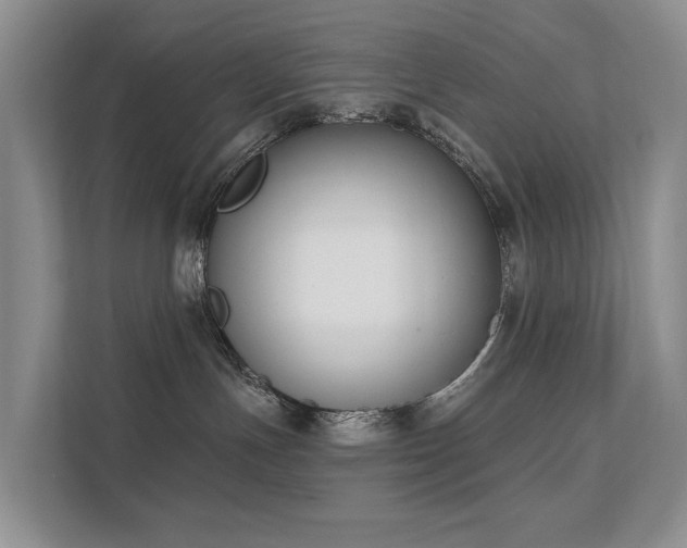 X0000111610191200907171231