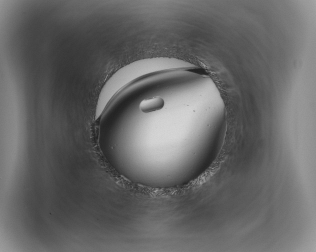 X0000111610192200907171231