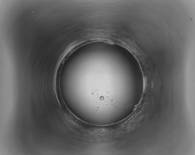 X0000111610195200907171231