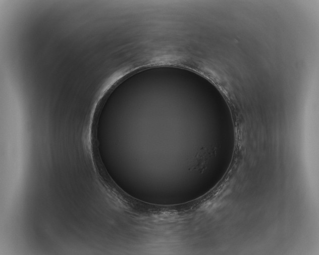 X0000111610196200907171231