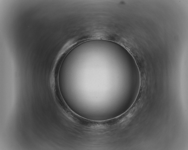 X0000111610198200907171231