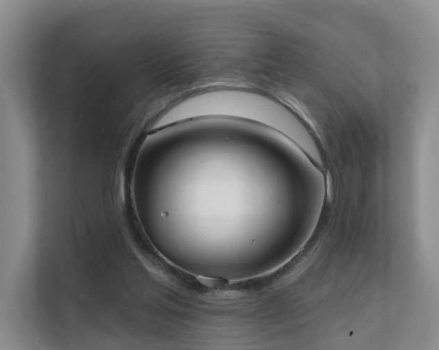 X0000111610205200907171230