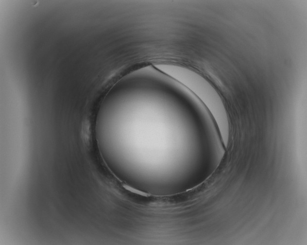 X0000111610211200907171230