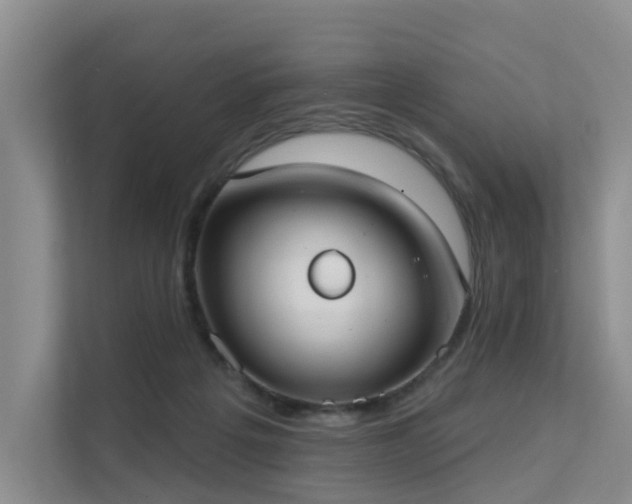 X0000111610217200907171230