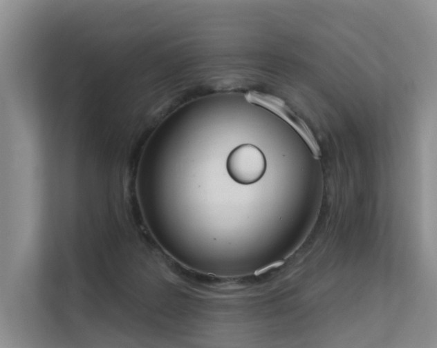 X0000111610219200907171230