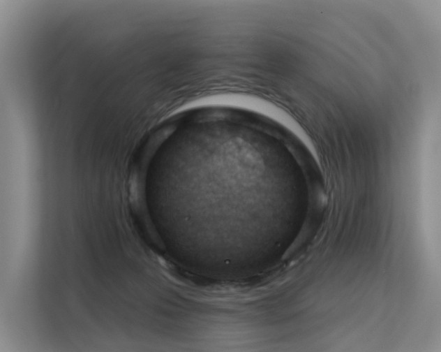 X0000111610223200907171230