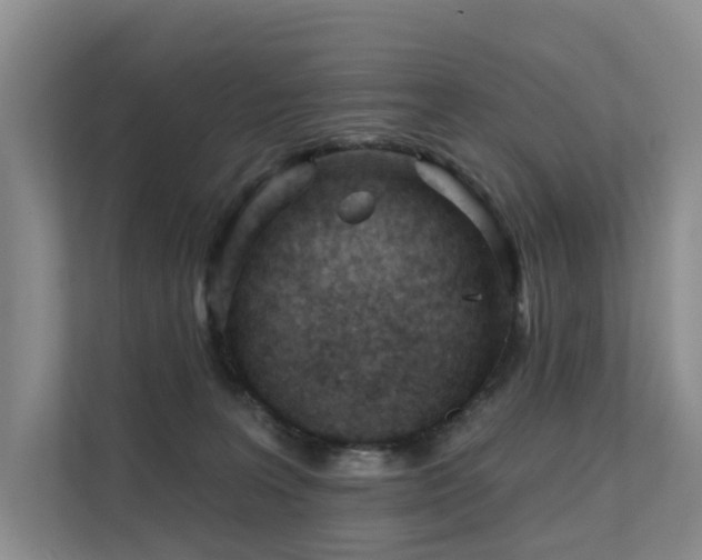 X0000111610227200907171230