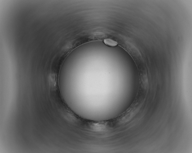 X0000111610232200907171230
