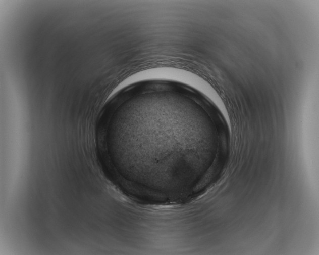 X0000111610235200907171230