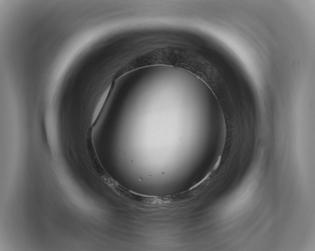 X0000111610239200907171230