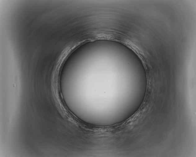 X0000111610241200907171229